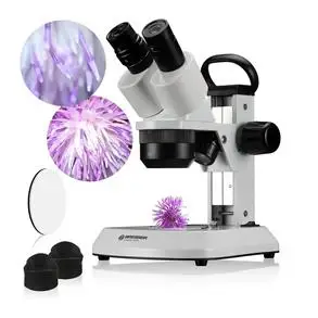 Stereolupper & mikroskoper