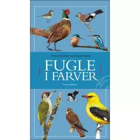 Fugle i farver inkl. cd - B&oslash;ger om fugle