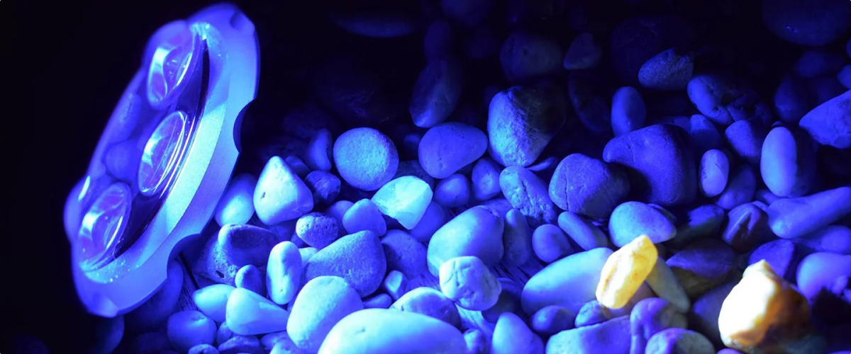 Ravjagt - find rav med uv-lygte Ravjagt - find rav med uv-lygte